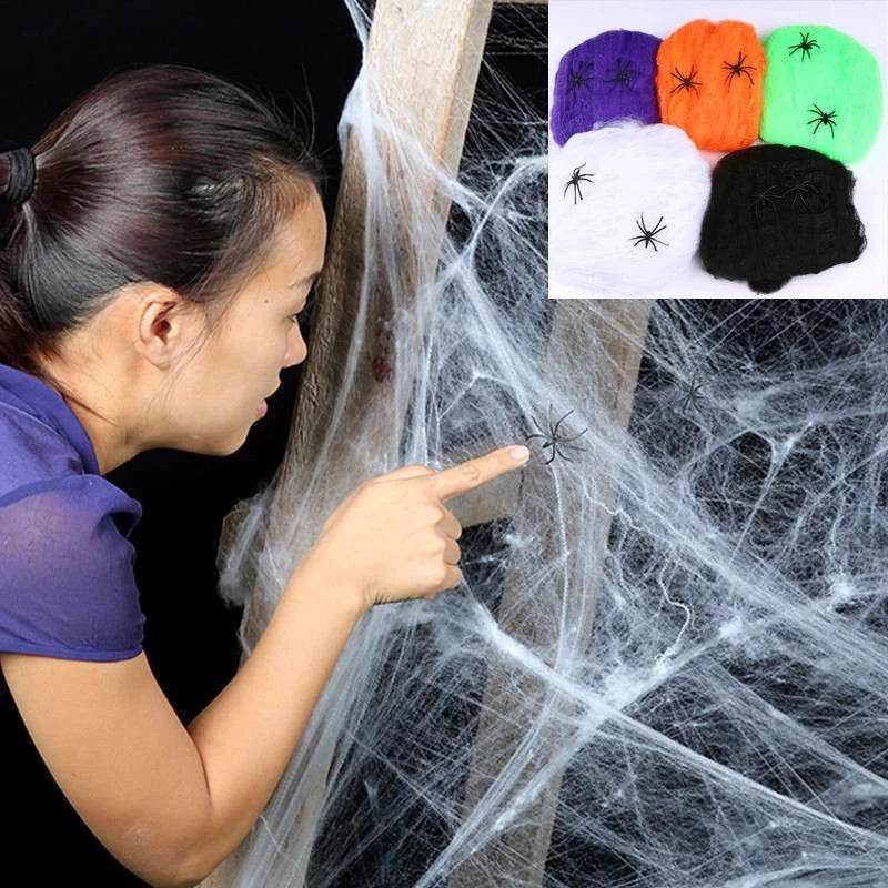 Halloween Spider Web Decor