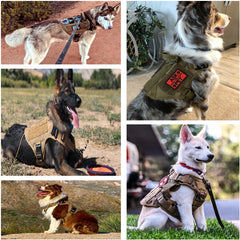 Tactical No Pull Dog Harness