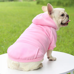 Dog Winter Sweatshirt