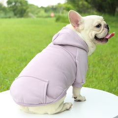 Dog Winter Sweatshirt